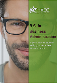 The Bachelor of Science in Business Administration (BSBA) Flyer