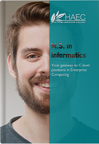 The Master of Science in Informatics (MSI) Flyer